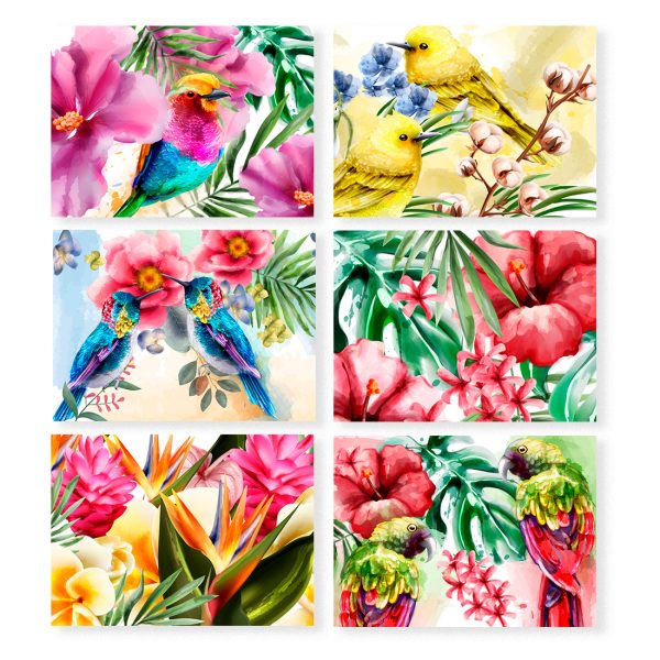aves tropicales